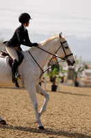 AVMM0963