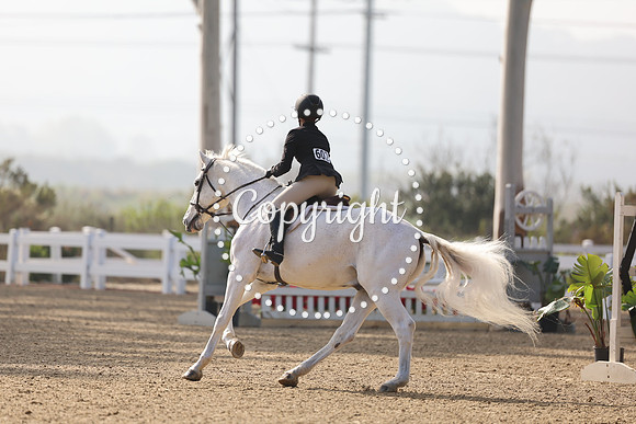 AVMM0969