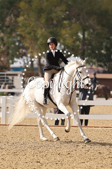 AVMM0971