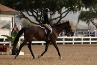 AVMT5336 2