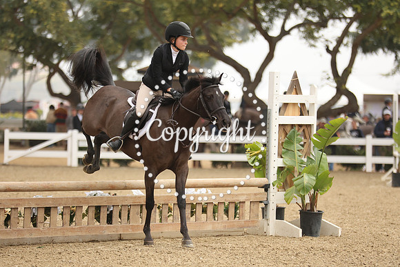 TMR_2509