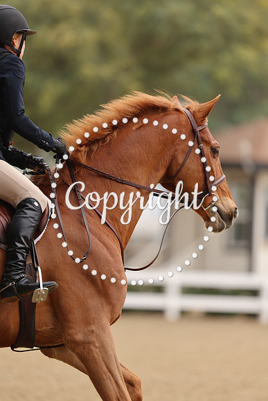 AVMM0485
