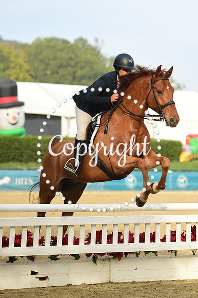 BBB_7610