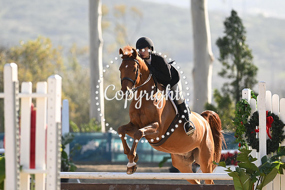 SLP_4684