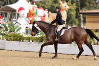 AVMM0941