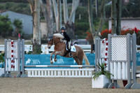 AVMM2487