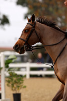 AVMM0492