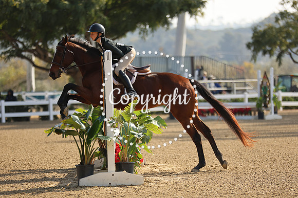 TMR_5197