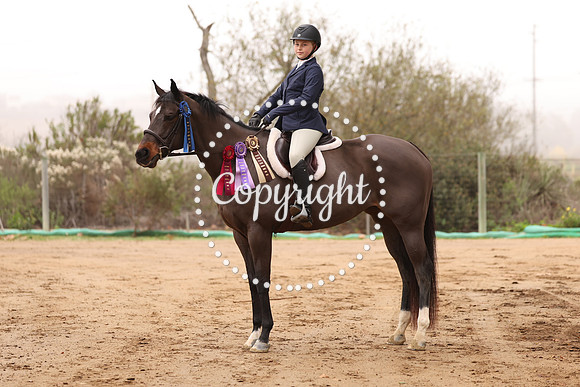 AVMT3377