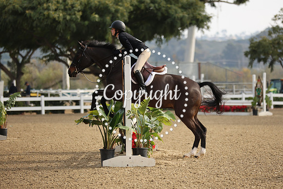 TMR_6095