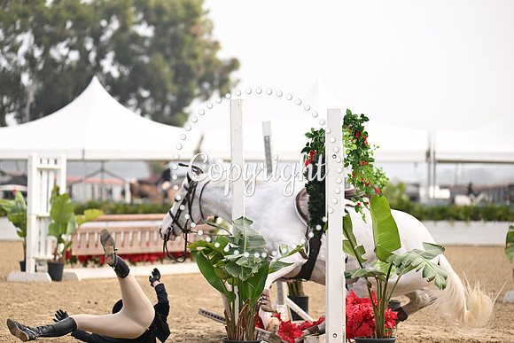 SLP_3293