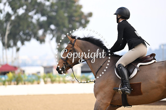 SLP_6453