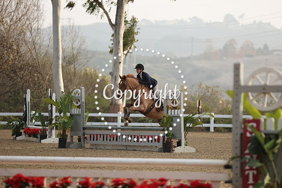 TMR_7659