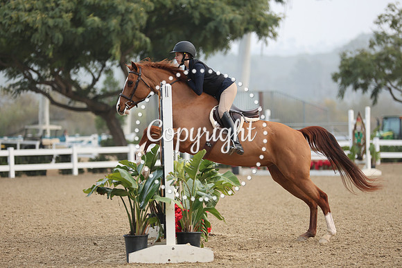 TMR_9007