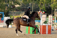 AVMM2201