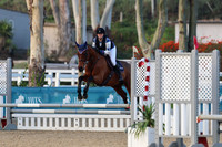 AVMM2003