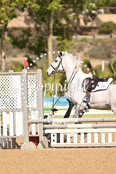 SLP_4213