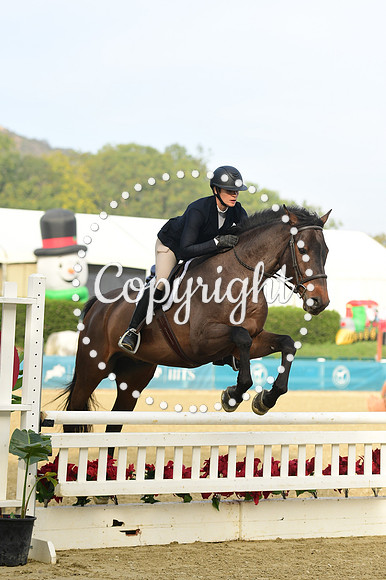 BBB_7624