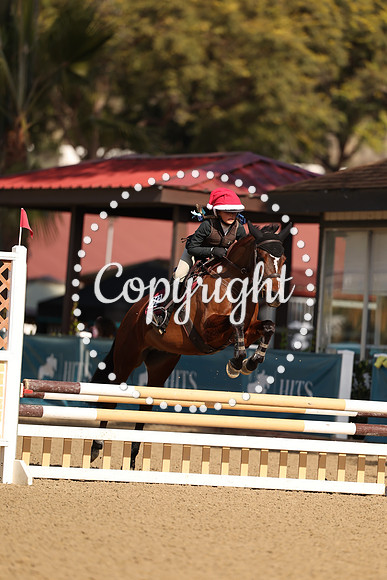 AVMT4106 2