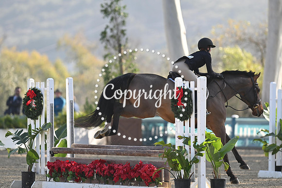 SLP_4532