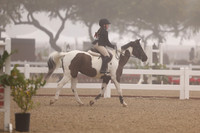 AVMT2950