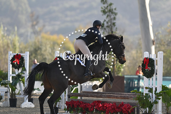 SLP_4613