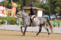 AVMM0935