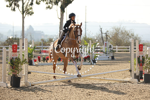 TMR_5111