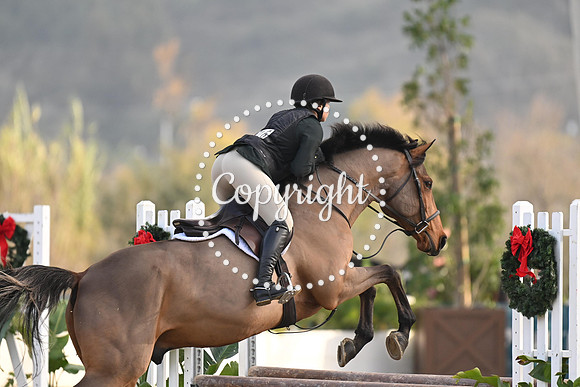 SLP_6517