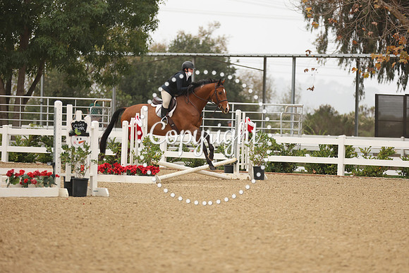 TMR_2186