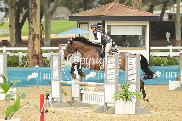 BBB_8785