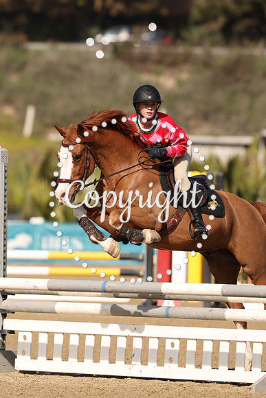 AVMT4206