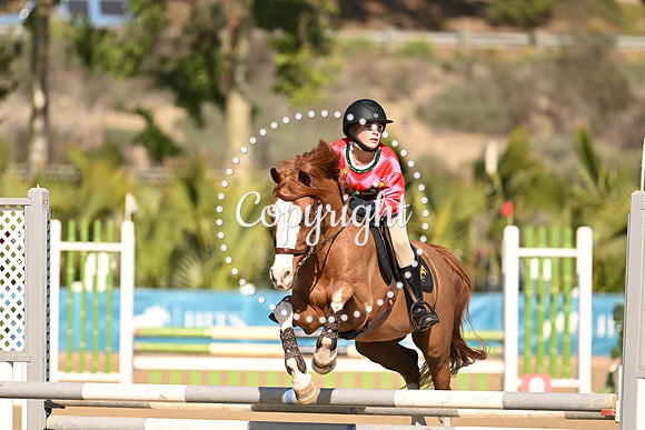 SLP_5149