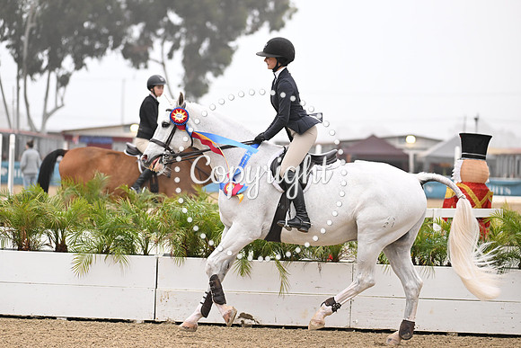 SLP_9992