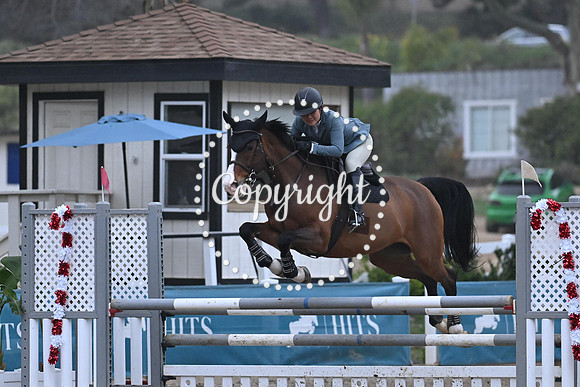 SLP_9848 2