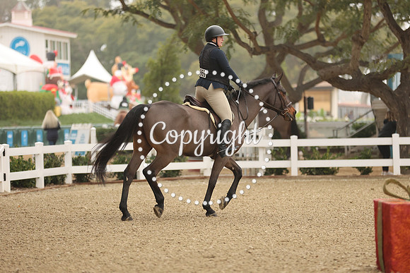 TMR_3916