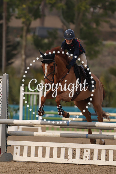 AVMT5645