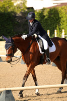 Dressage Holiday 12/13 - 12/14