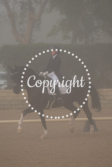 IMG_8293