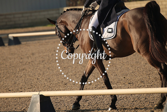 IMG_9152