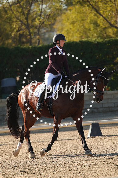 IMG_9519