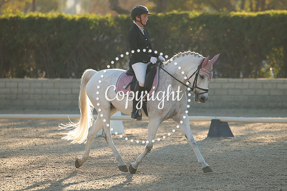 IMG_0282
