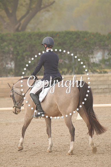 IMG_6594
