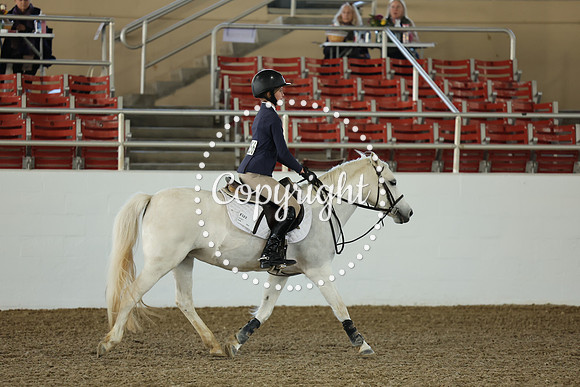 AVMM3201