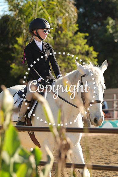 IMG_5654CRD2