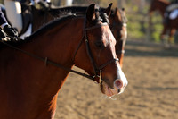 IMG_5675CRD2