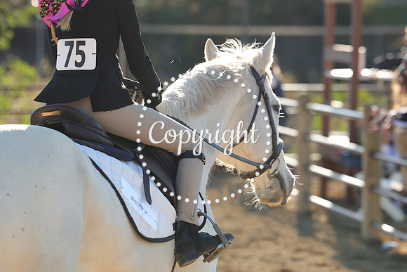 IMG_5679CRD2