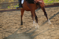 IMG_5686CRD2