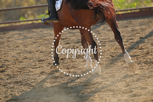 IMG_5686CRD2
