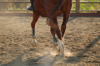 IMG_5684CRD2